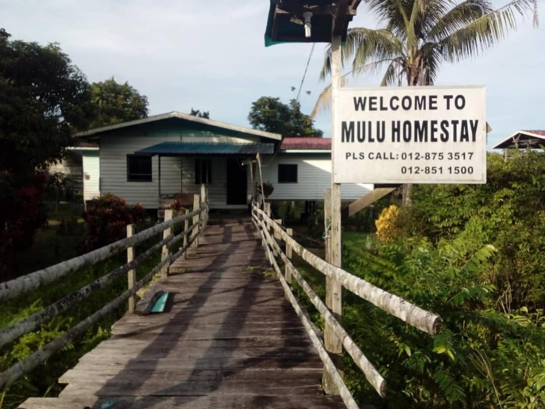 Mulu Homestay Zewnętrze zdjęcie