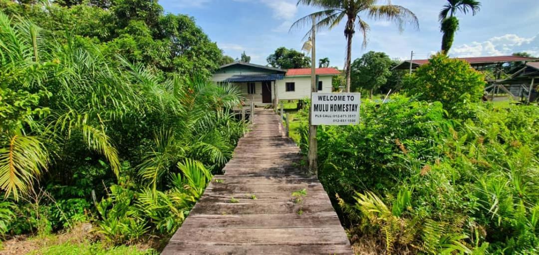 Mulu Homestay Zewnętrze zdjęcie