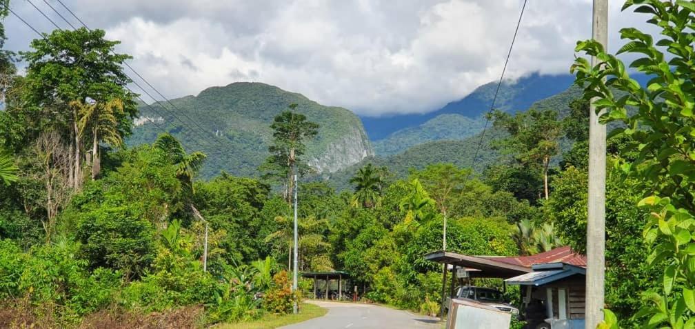 Mulu Homestay Zewnętrze zdjęcie