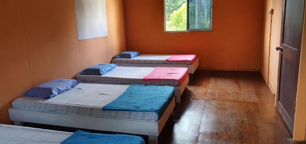 Mulu Homestay Zewnętrze zdjęcie