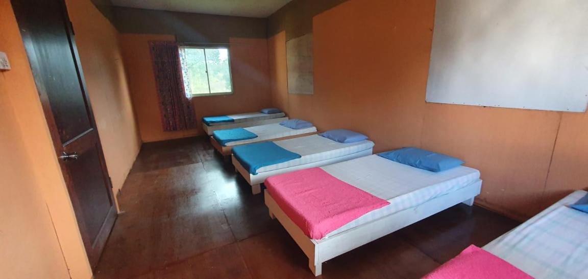 Mulu Homestay Zewnętrze zdjęcie