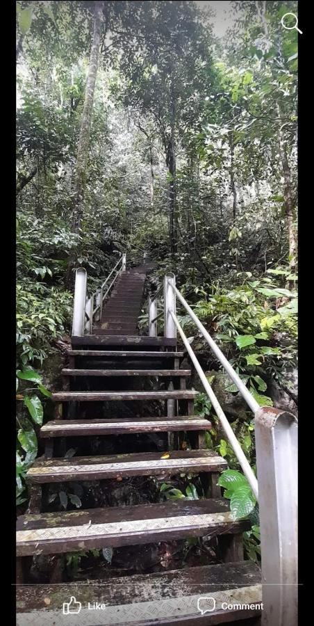 Mulu Homestay Zewnętrze zdjęcie