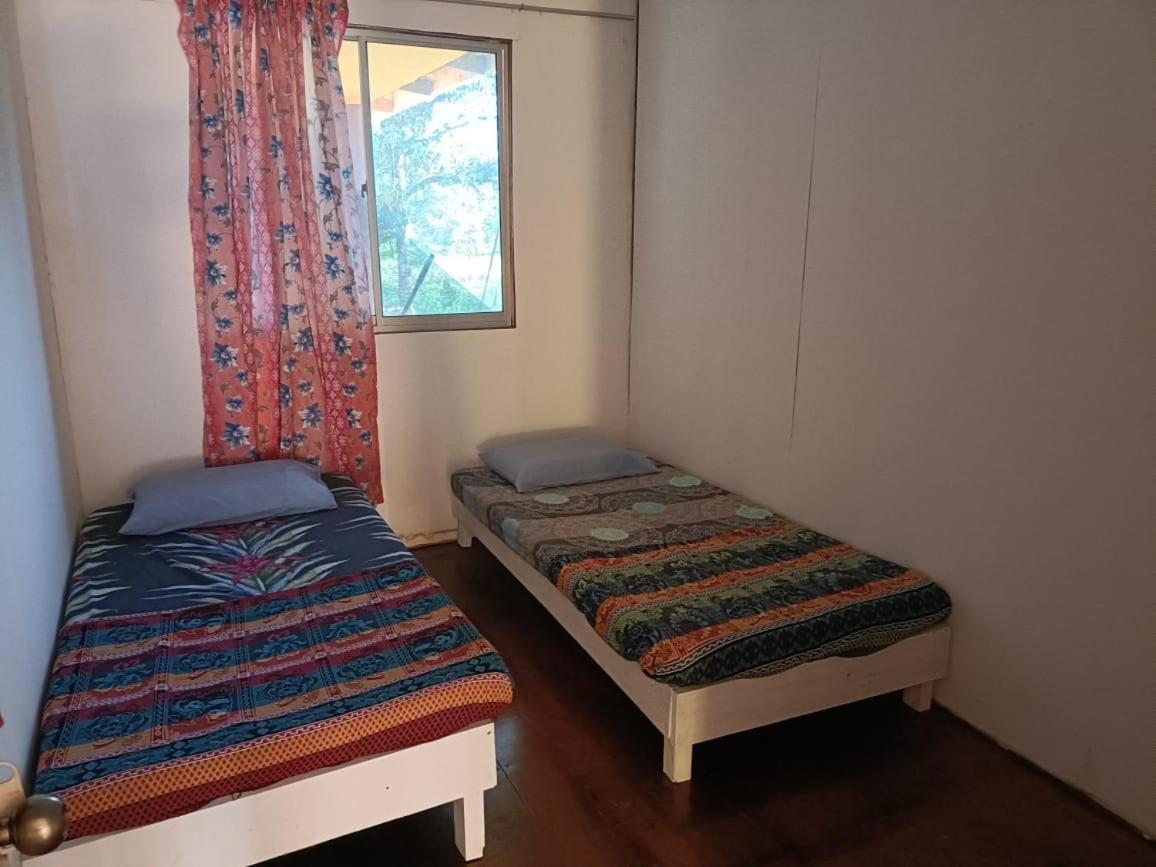Mulu Homestay Zewnętrze zdjęcie